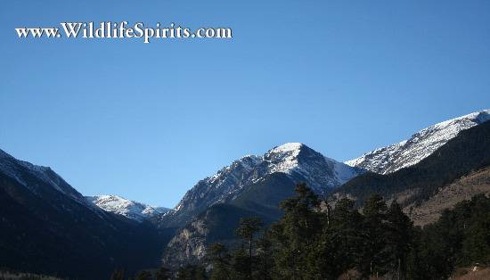Click Picture to send as an  E-PostCard 54k 550x314